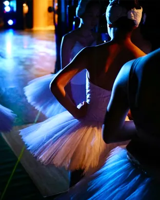 Ballet of Lights: Sleeping Beauty in a Sparkling Show theatre performance