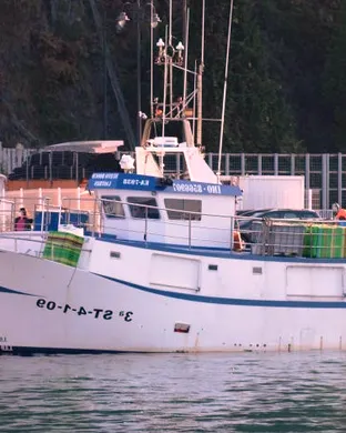 The Marvelous Miss Gender Tour Starring Bosco