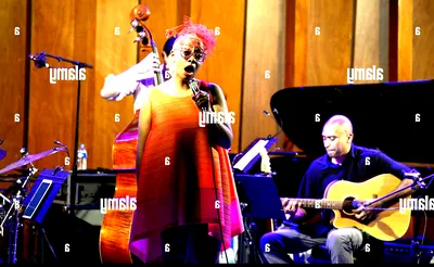 Cecile McLorin Salvant