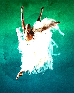 Complexions Contemporary Ballet