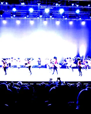 Georgian National Ballet