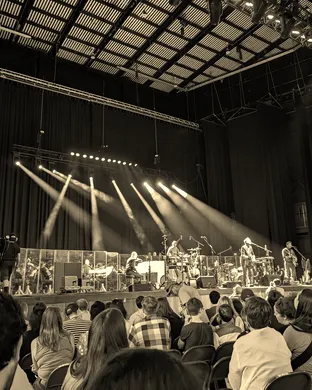 Guster