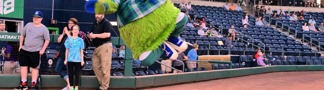 Hartford Yard Goats