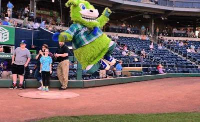 Hartford Yard Goats