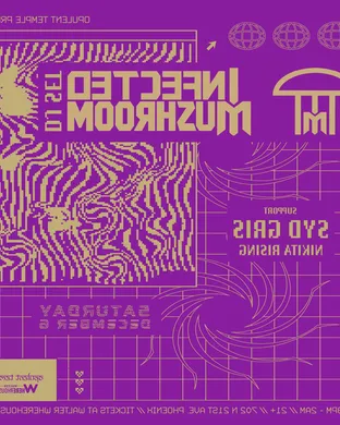 Infected Mushroom Brooklyn