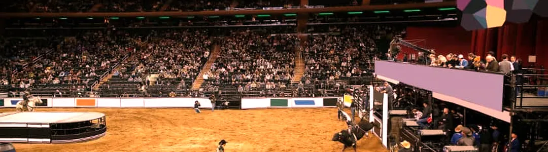 PBR: Teams Series