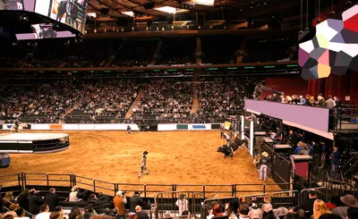 PBR: Teams Series