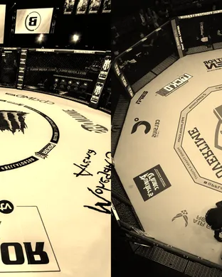 PFL - Professional Fighters League