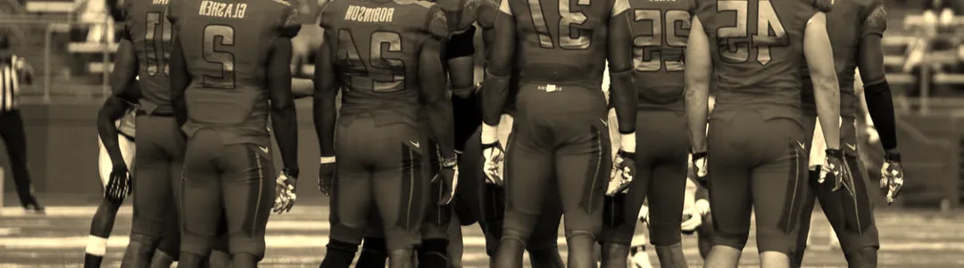 Rutgers Scarlet Knights