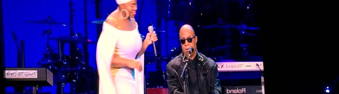 Stevie Wonder