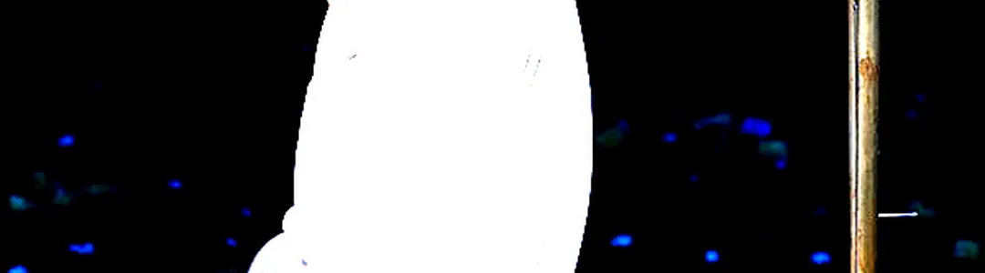 Tchaikovsky's Eugene Onegin