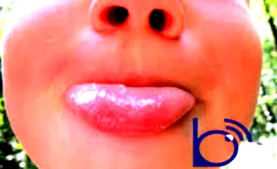 The Daddy Academy Live