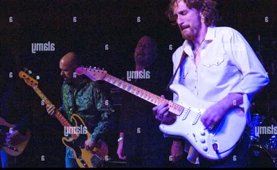 The Fabulous Thunderbirds