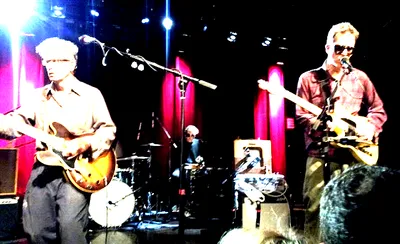 The Feelies