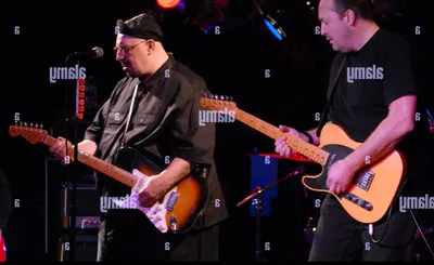 The Smithereens