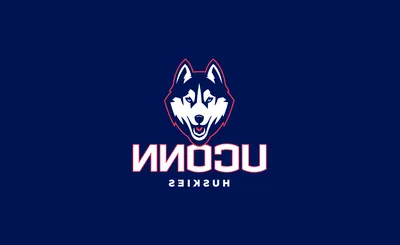 UConn Huskies Basketball
