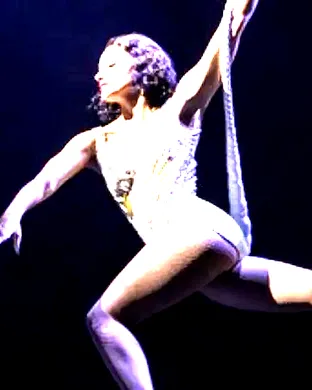 Water for Elephants - The Musical