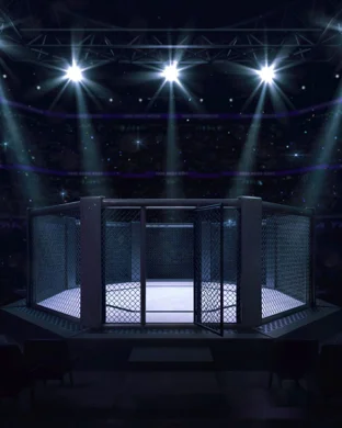 UFC 328: Chimaev vs. Strickland