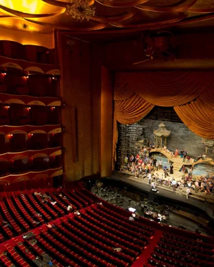 Taconic Opera: Beethoven Symphony No. 9